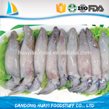 Exporter les calamars de priorité prioritaire HACCP ISO FDA certifiés